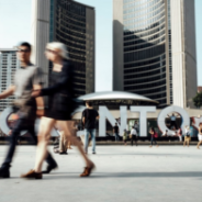 Toronto Recommends Decriminalization